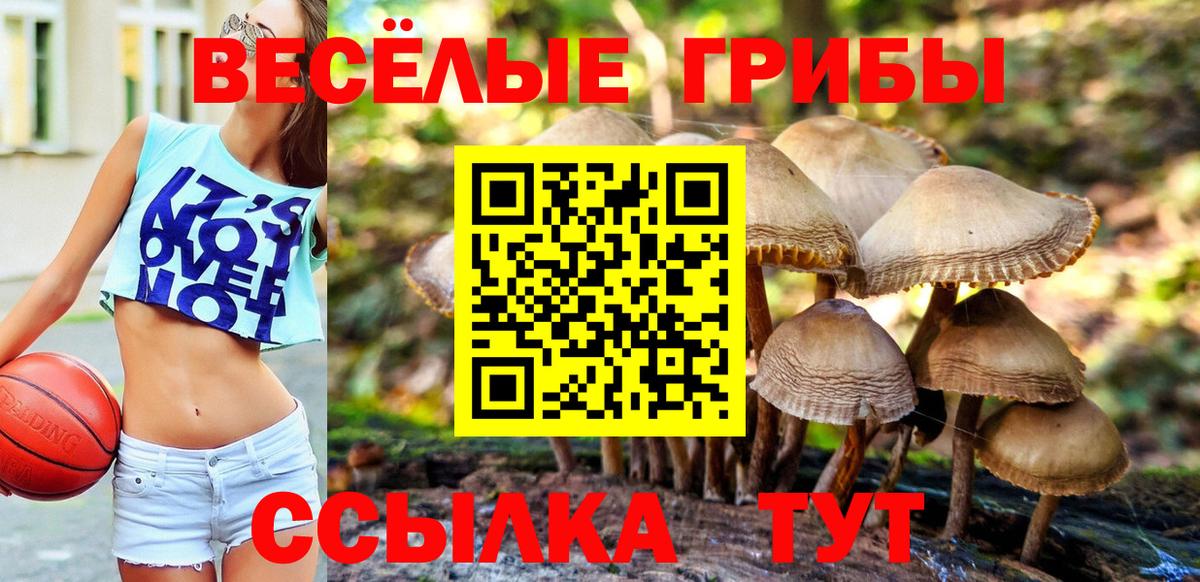 Псилоцибиновые грибы Magic Shrooms  Вход с VPN  Галлюциногенные грибы MAGIC MUSHROOMS  Ярославль 